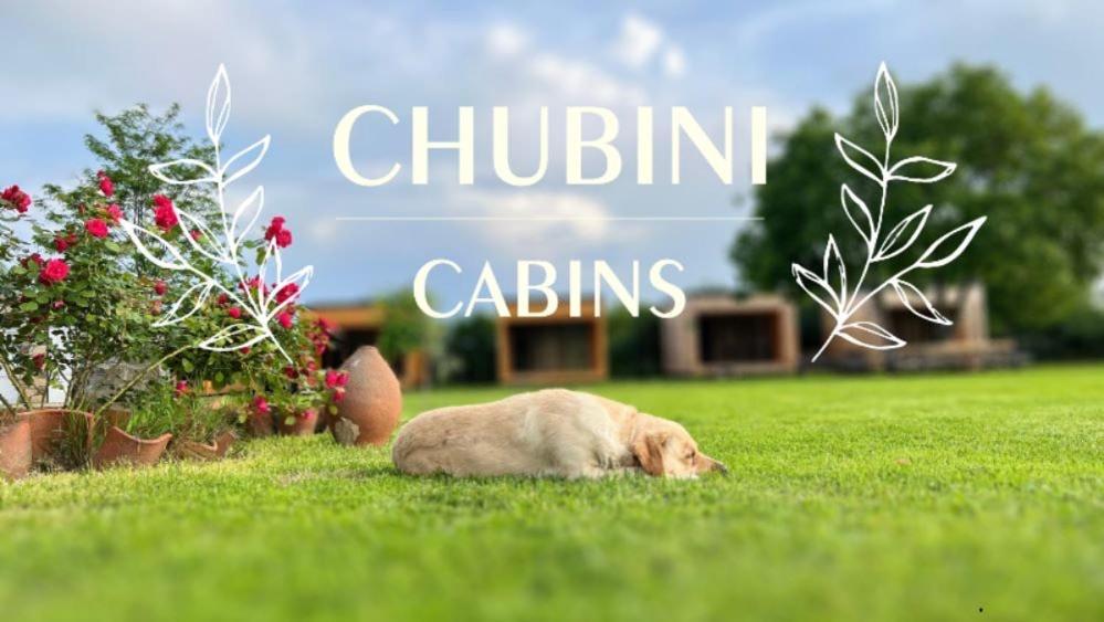 קווארלי Chubini Winery & Cabins מראה חיצוני תמונה