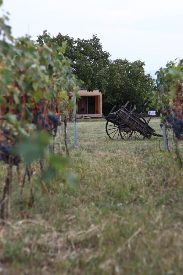 קווארלי Chubini Winery & Cabins מראה חיצוני תמונה