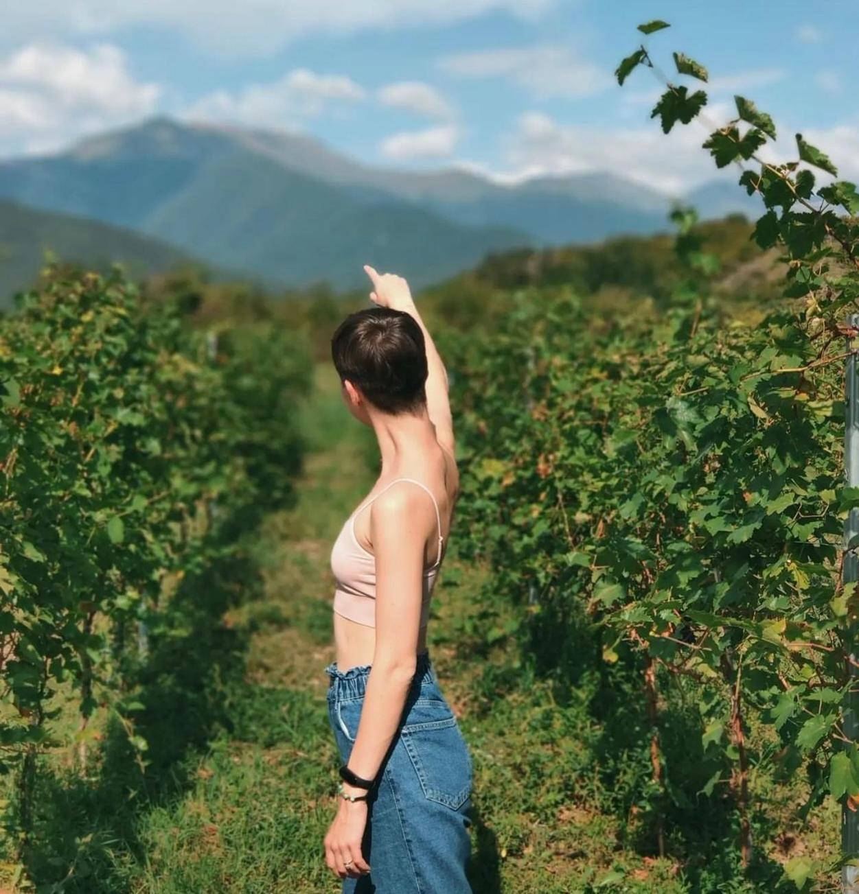 קווארלי Chubini Winery & Cabins מראה חיצוני תמונה