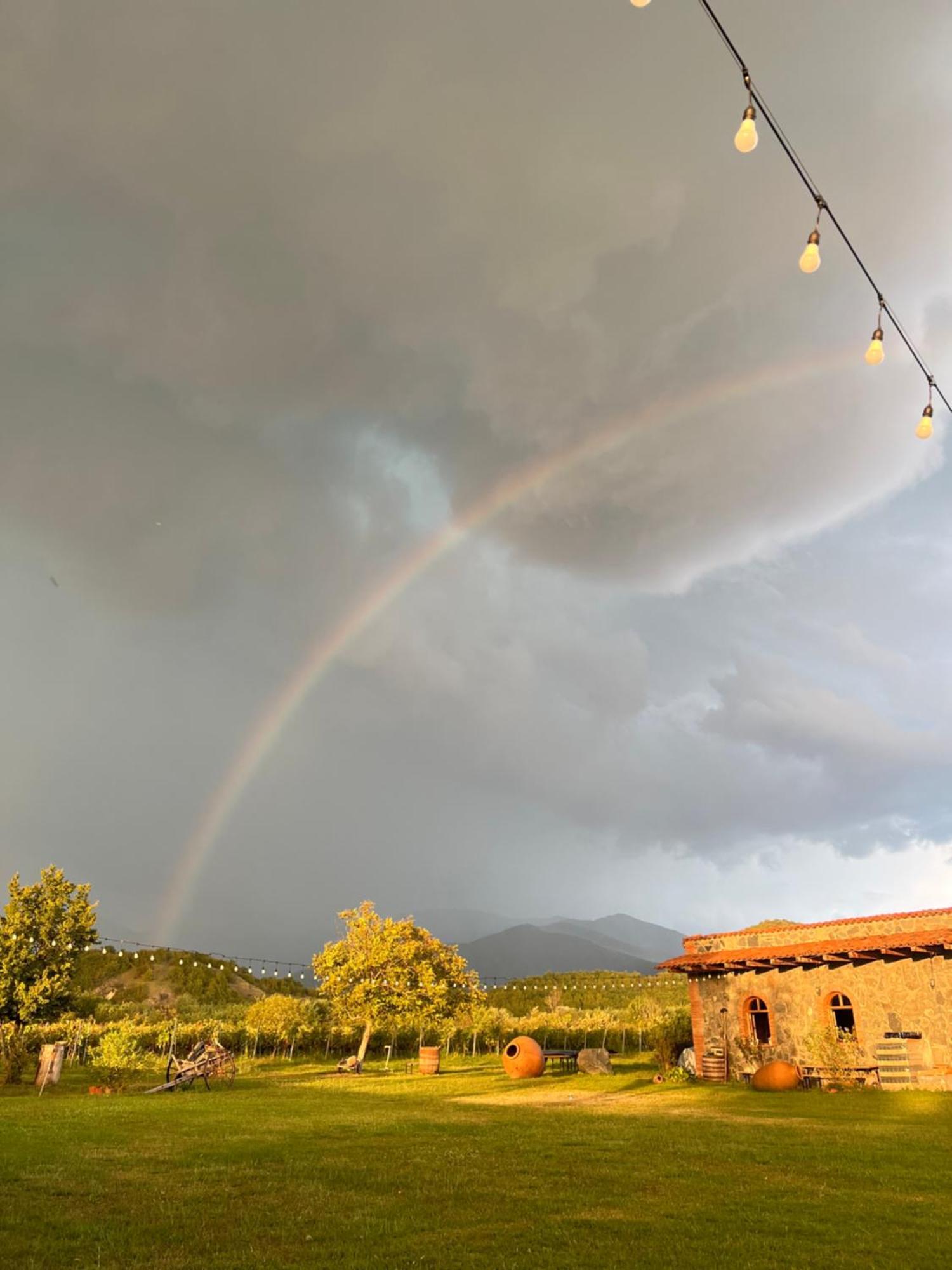 קווארלי Chubini Winery & Cabins מראה חיצוני תמונה
